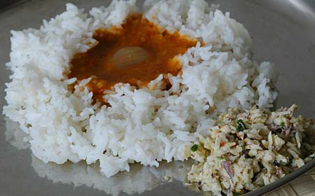 Dry Coconut Chutney and Sambhar Rice