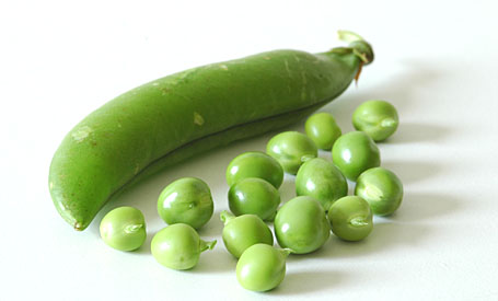 Fresh Green Peas of Summer