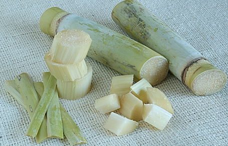 Fresh Sugar Cane