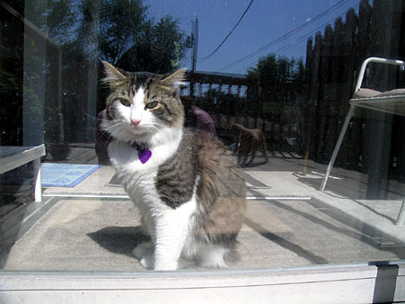 Kittaya looking through the glass from Inside