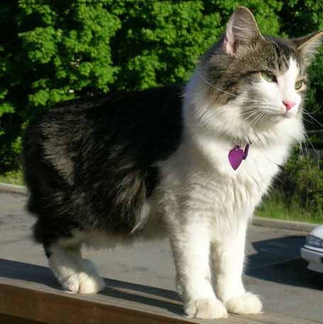 Kittaya standing on the deck wall