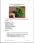 Healing Herbal Rice PDF