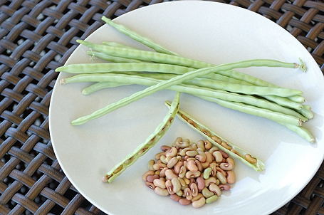 Shelled Benas - Asparagus Beans (Yardlong Beans)